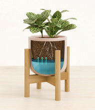 Load image into Gallery viewer, Sandy Pink stand:bamboo