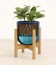 Load image into Gallery viewer, Twilight Blue stand:bamboo