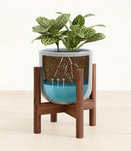 Load image into Gallery viewer, Misty Blue stand:walnut