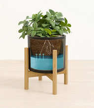 Load image into Gallery viewer, Black stand:bamboo