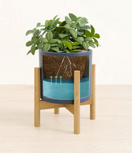 Load image into Gallery viewer, Deep Navy stand:bamboo