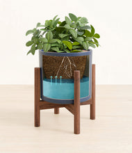 Load image into Gallery viewer, Deep Navy stand:walnut