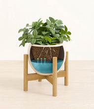 Load image into Gallery viewer, Shiny EggWhite stand:bamboo