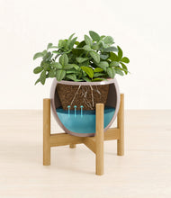 Load image into Gallery viewer, Winter Clouds stand:bamboo