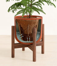 Load image into Gallery viewer, Earth Red stand:walnut