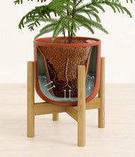 Load image into Gallery viewer, Earth Red stand:bamboo