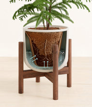 Load image into Gallery viewer, Natural Bamboo stand:walnut