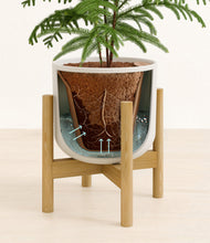 Load image into Gallery viewer, Natural Bamboo stand:bamboo