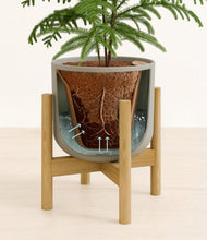 Load image into Gallery viewer, Sage Green stand:bamboo