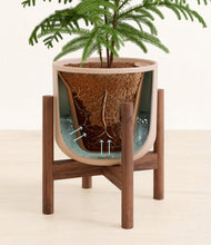 Load image into Gallery viewer, Sandy Pink stand:walnut