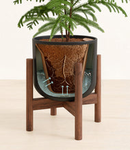 Load image into Gallery viewer, Stone Black stand:walnut