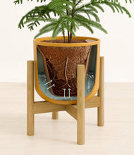 Load image into Gallery viewer, Sunset Orange stand:bamboo