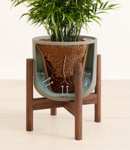 Load image into Gallery viewer, Sage Green stand:walnut