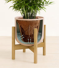 Load image into Gallery viewer, Sandy Pink stand:bamboo