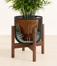 Load image into Gallery viewer, Stone Black stand:walnut