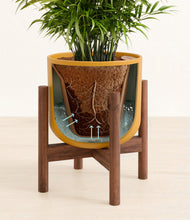 Load image into Gallery viewer, Sunset Orange stand:walnut