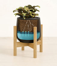 Load image into Gallery viewer, Black stand:bamboo