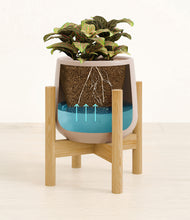 Load image into Gallery viewer, Eternal Gray stand:bamboo