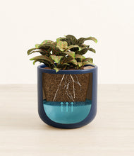 Load image into Gallery viewer, Twilight Blue