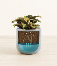 Load image into Gallery viewer, Misty Blue