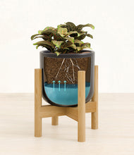Load image into Gallery viewer, Stone Black stand:bamboo