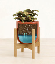 Load image into Gallery viewer, Glossy Red stand:bamboo