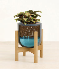 Load image into Gallery viewer, Iron Gray stand:bamboo