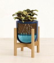 Load image into Gallery viewer, Twilight Blue stand:bamboo