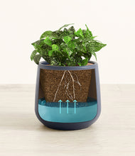 Load image into Gallery viewer, Deep Navy