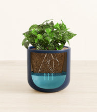 Load image into Gallery viewer, Twilight Blue