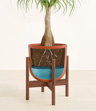 Load image into Gallery viewer, Earth Red stand:walnut