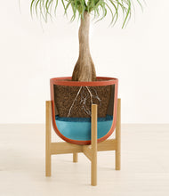 Load image into Gallery viewer, Earth Red stand:bamboo