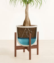 Load image into Gallery viewer, Natural Bamboo stand:walnut