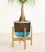 Load image into Gallery viewer, Natural Bamboo stand:bamboo