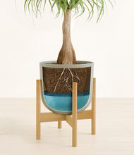 Load image into Gallery viewer, Sage Green stand:bamboo