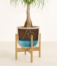 Load image into Gallery viewer, Sandy Pink stand:bamboo