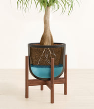 Load image into Gallery viewer, Stone Black stand:walnut