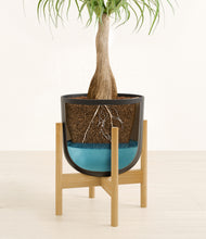 Load image into Gallery viewer, Stone Black stand:bamboo