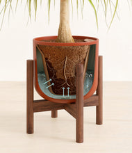 Load image into Gallery viewer, Earth Red stand:walnut