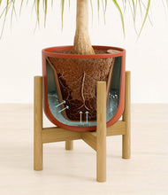 Load image into Gallery viewer, Earth Red stand:bamboo