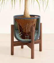 Load image into Gallery viewer, Iron Gray stand:walnut