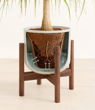 Load image into Gallery viewer, Natural Bamboo stand:walnut