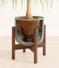 Load image into Gallery viewer, Sage Green stand:walnut