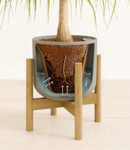 Load image into Gallery viewer, Sage Green stand:bamboo