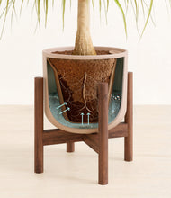 Load image into Gallery viewer, Sandy Pink stand:walnut