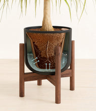 Load image into Gallery viewer, Stone Black stand:walnut