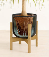 Load image into Gallery viewer, Stone Black stand:bamboo