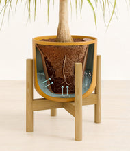 Load image into Gallery viewer, Sunset Orange stand:bamboo