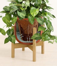 Load image into Gallery viewer, Earth Red stand:bamboo