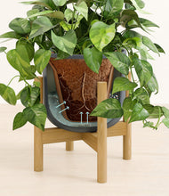 Load image into Gallery viewer, Iron Gray stand:bamboo